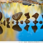 Hình đại diện của thành viên