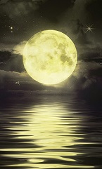 Hình đại diện của thành viên