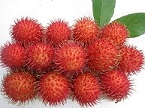Hình đại diện của thành viên