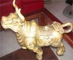 Hình đại diện của thành viên