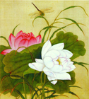 Hình đại diện của thành viên