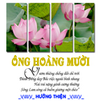 Hình đại diện của thành viên