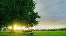Hình đại diện của thành viên