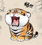 Hình đại diện của thành viên