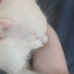 Hình đại diện của thành viên