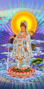 Hình đại diện của thành viên