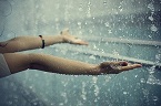 Hình đại diện của thành viên