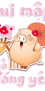Hình đại diện của thành viên