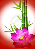 Hình đại diện của thành viên