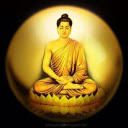 Hình đại diện của thành viên