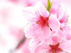 Hình đại diện của thành viên