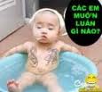 Hình đại diện của thành viên
