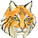 Hình đại diện của thành viên