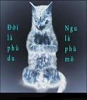 Hình đại diện của thành viên