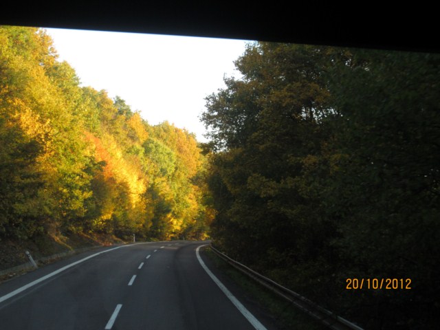 IMG_1215 [640x480].JPG