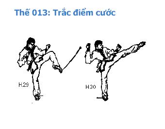 1.JPG