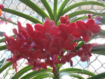 3S0.4165057_1_1.jpg