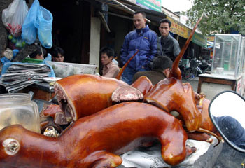 Nguồn gốc thịt chó của bản quán