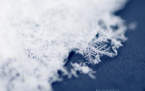 23_31_1351188731_58_2012-10-21_Winter_16.jpg