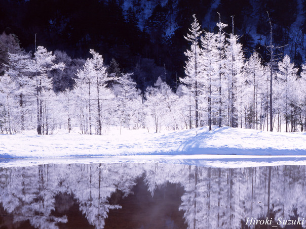 winter3-800-602473.jpg