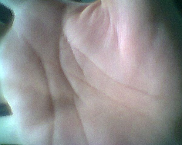 Hình0404.jpg
