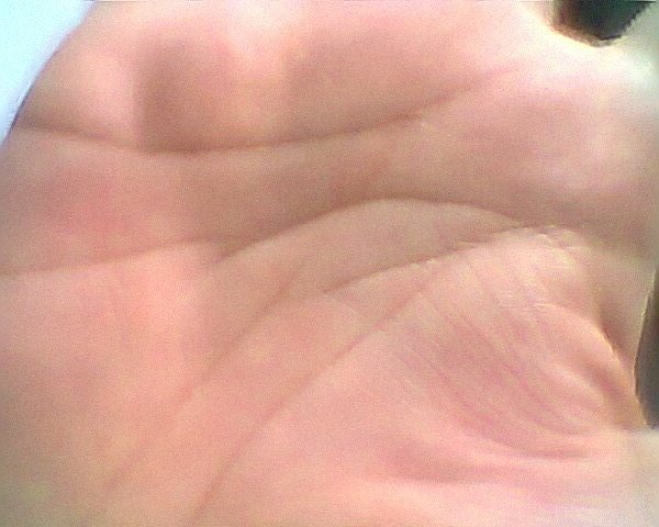 pHình0399.jpg