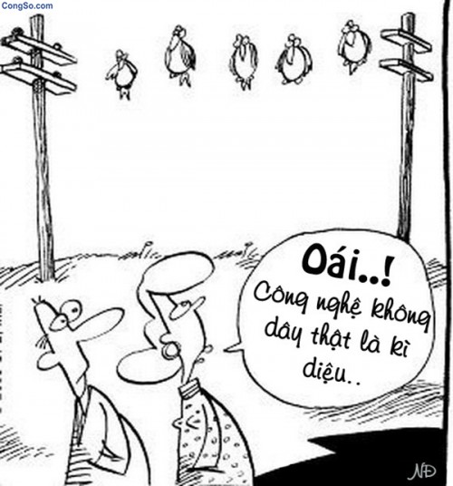 hinh_anh_hai_huoc_kho_do20121024144055.jpg