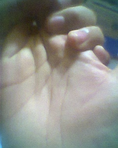 Hình0423.jpg