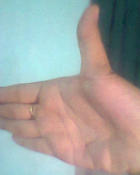 Hình0429.jpg