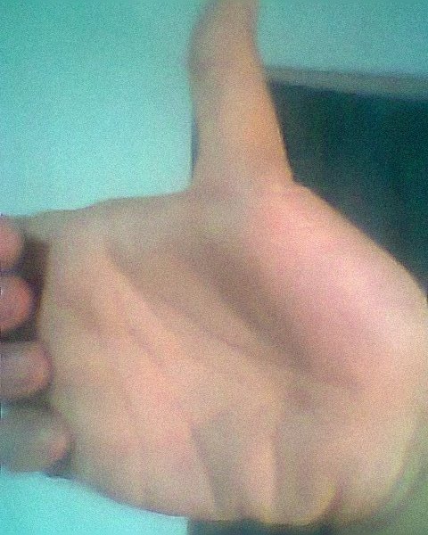 Hình0430.jpg