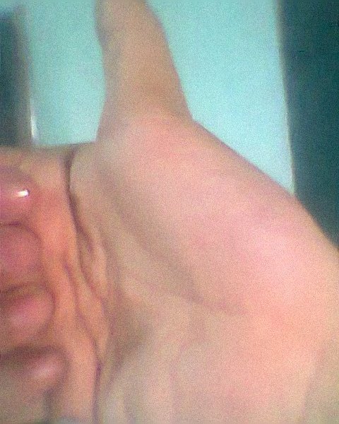 Hình0431.jpg