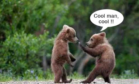 Hinh-Anh-vui- (115).jpg