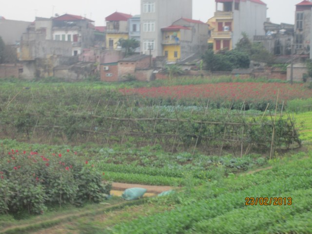 029 [640x480].JPG