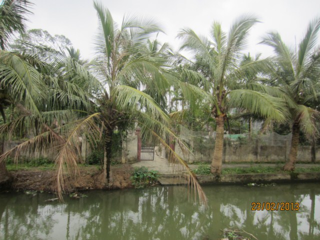 033 [640x480].JPG
