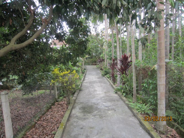 038 [640x480].JPG