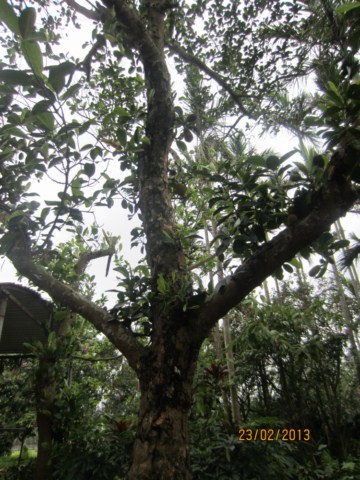 042 [640x480].JPG