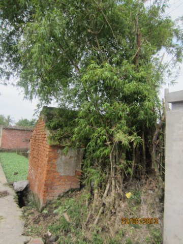 084 [640x480].JPG