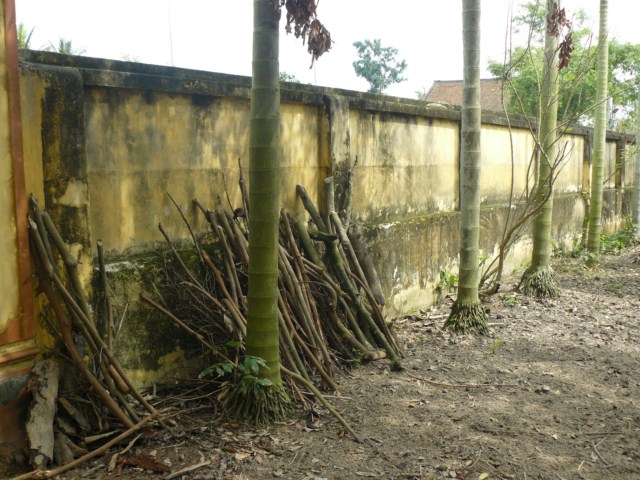 P1120386 [640x480].JPG