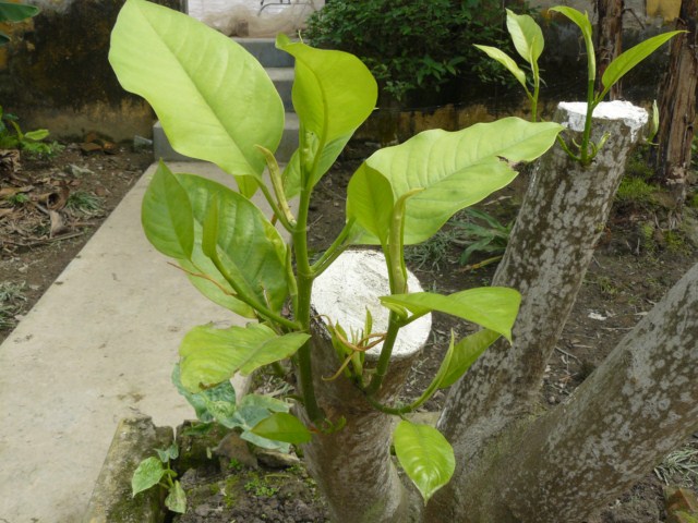 P1120374 [640x480].JPG
