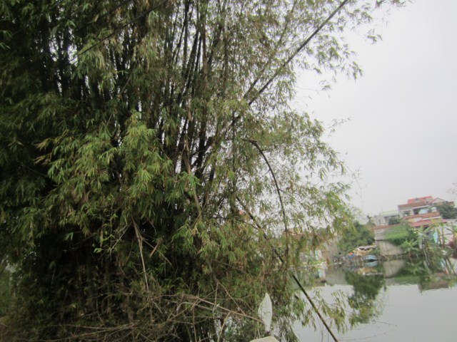181 [640x480].JPG