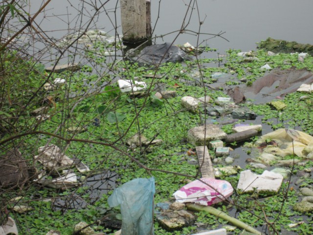 186 [640x480].JPG