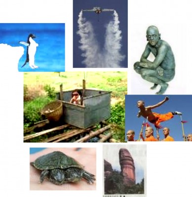 Nhảy Dù !