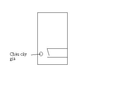 chau cay gia.JPG