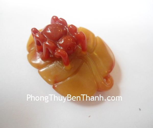 Hoang-long-tam-the-nhen-01.jpg
