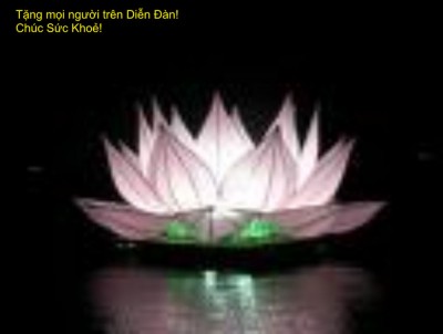 Tặng Sư Phụ - Ôn Hoà- He he ! Cám ơn Sư Phụ !