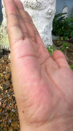 2014-08-05-616_1.jpg