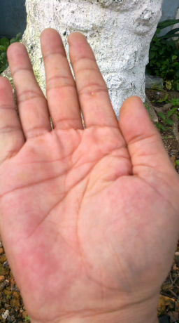 2014-08-05-614_1.jpg