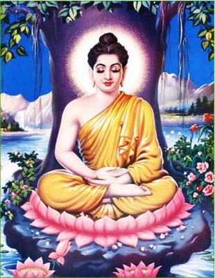 Dai Hoa Sen.jpg