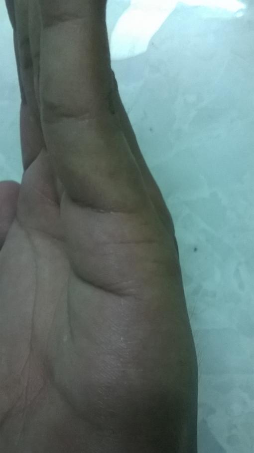 WP_20150401_020.jpg
