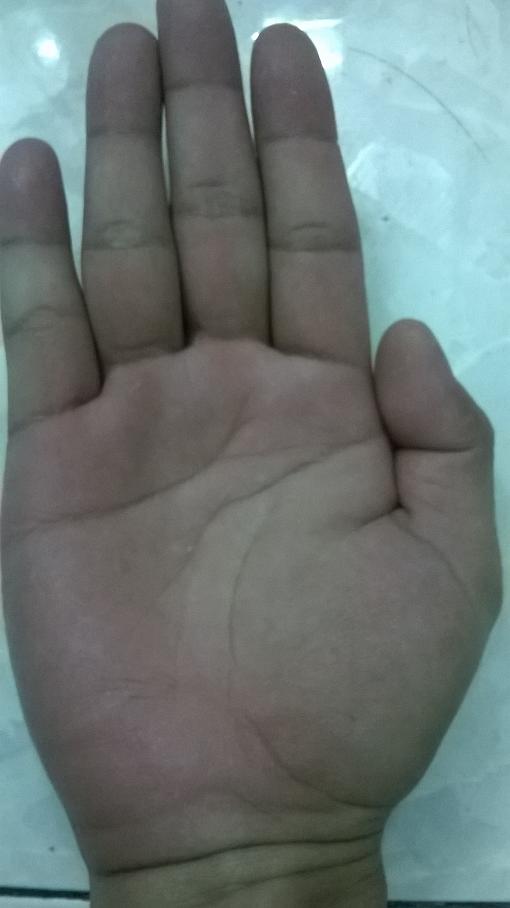 WP_20150401_015.jpg